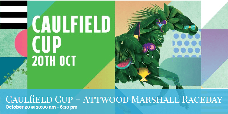caulfield cup day tickets